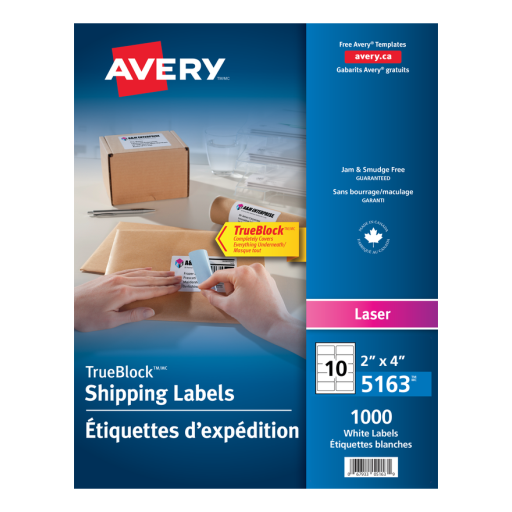 5163 WHITE, TRUEBLOCK, 4" X 2", PERMANENT, 100 SHEETS/BOX,