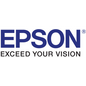 T913500 Epson EPSON UltraChrome HD Light Cyan Ink Cartridge