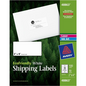 48863 ECO WHITE MAILING LABEL, PERMANENT, 2" X 4", 10 SHEETS